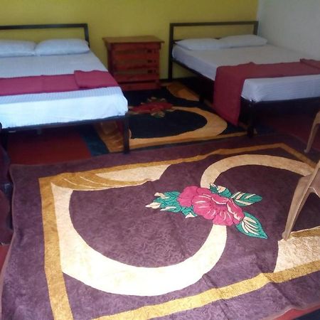 Bed and Breakfast Lily Adam'S Peak Nallathanniya Exteriér fotografie