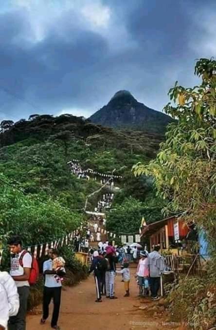 Bed and Breakfast Lily Adam'S Peak Nallathanniya Exteriér fotografie
