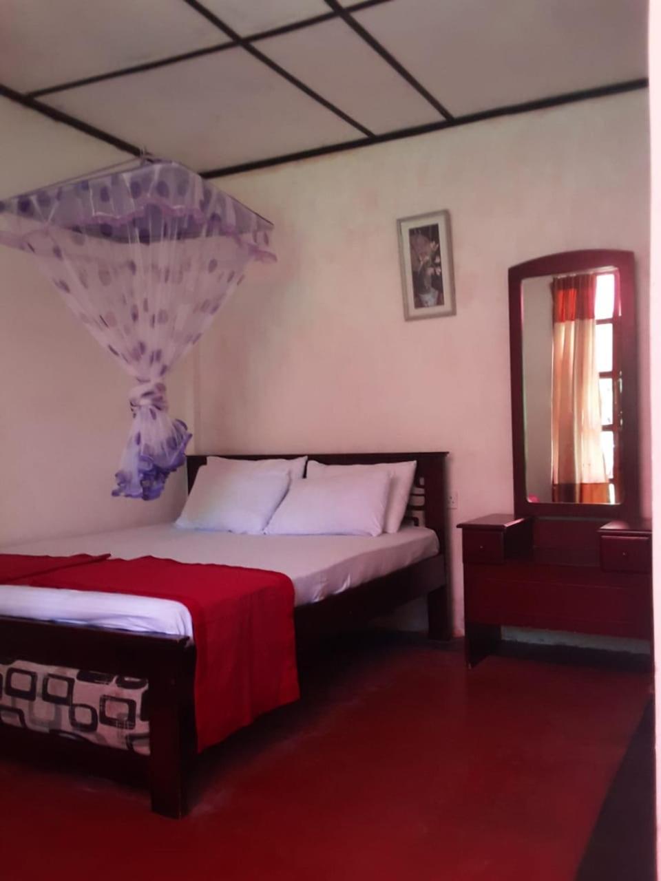 Bed and Breakfast Lily Adam'S Peak Nallathanniya Exteriér fotografie