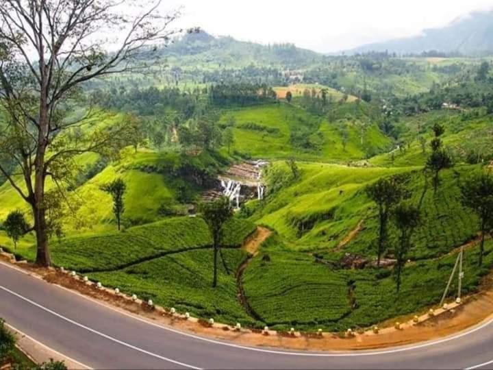 Bed and Breakfast Lily Adam'S Peak Nallathanniya Exteriér fotografie