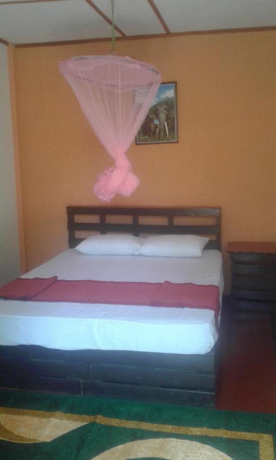 Bed and Breakfast Lily Adam'S Peak Nallathanniya Exteriér fotografie