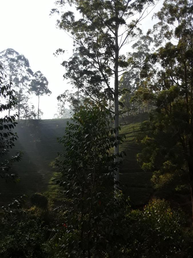 Bed and Breakfast Lily Adam'S Peak Nallathanniya Exteriér fotografie